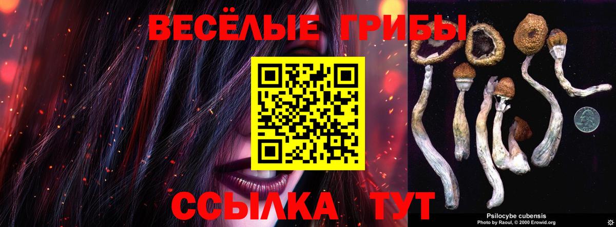 Выкса  Галлюциногенные грибы MAGIC MUSHROOMS  Вход с VPN 
