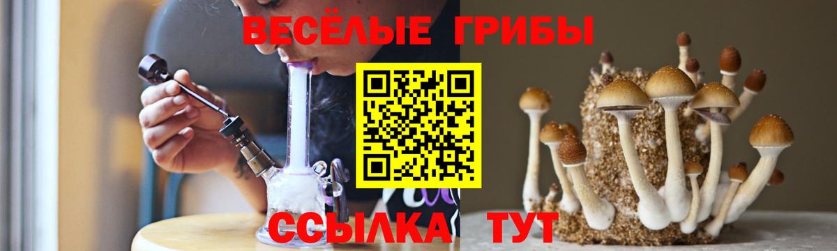 Галлюциногенные грибы мицелий Выкса